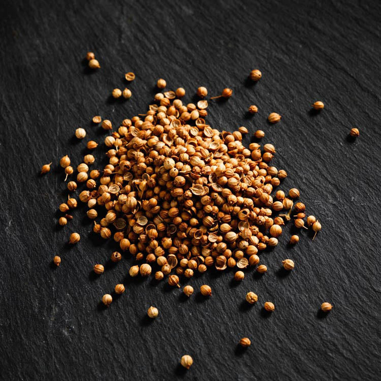 Coriander Seeds